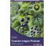 Ceai coacaz negru frunze 100g - HYPERICUM
