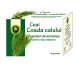 Ceai coada calului 30g - HYPERICUM