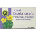Ceai coada racului 30g - HYPERICUM