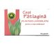 Ceai patlagina 20g - HYPERICUM