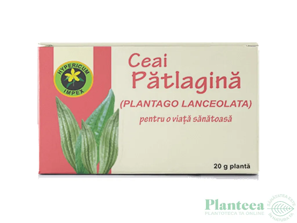 Ceai patlagina 20g - HYPERICUM