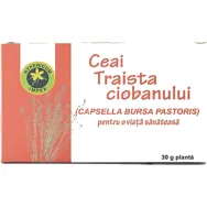 Ceai traista ciobanului 20g - HYPERICUM