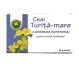 Ceai turita mare 30g - HYPERICUM