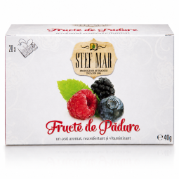 Ceai cu fructe padure premium 20dz - STEFMAR