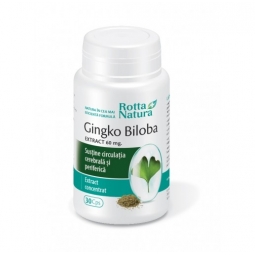 Ginkgo biloba 60mg 30cps - ROTTA NATURA