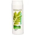 Sampon antiseboreic urzica 250ml - HERBAGEN
