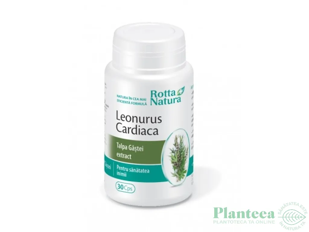 Leonurus cardiaca [talpa gastei] 30cps - ROTTA NATURA