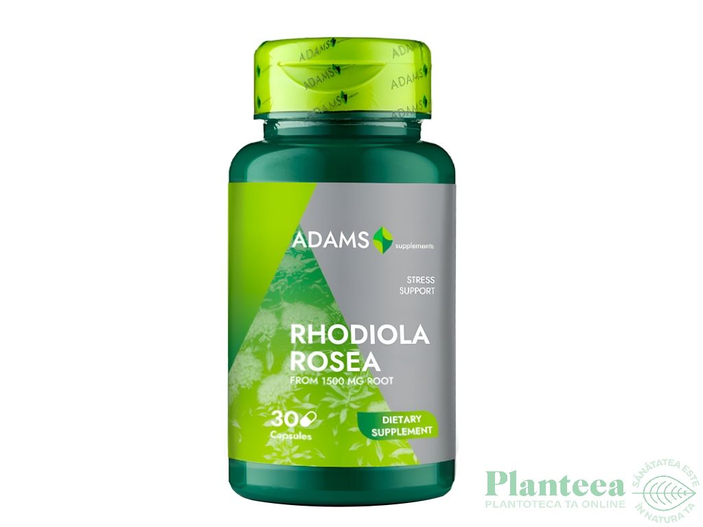 Rhodiola rosea 1500mg 30cps - ADAMS SUPPLEMENTS