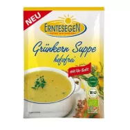 Supa grau verde fara drojdie plic eco 50g - ERNTESEGEN