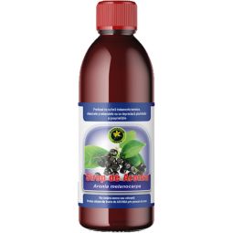 Sirop aronia cu zahar invertit 500ml - HYPERICUM
