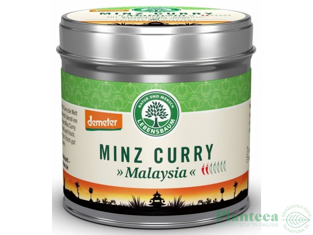 Condimente curry menta Malaezia eco 45g - LEBENSBAUM