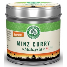 Condimente curry menta Malaezia eco 45g - LEBENSBAUM