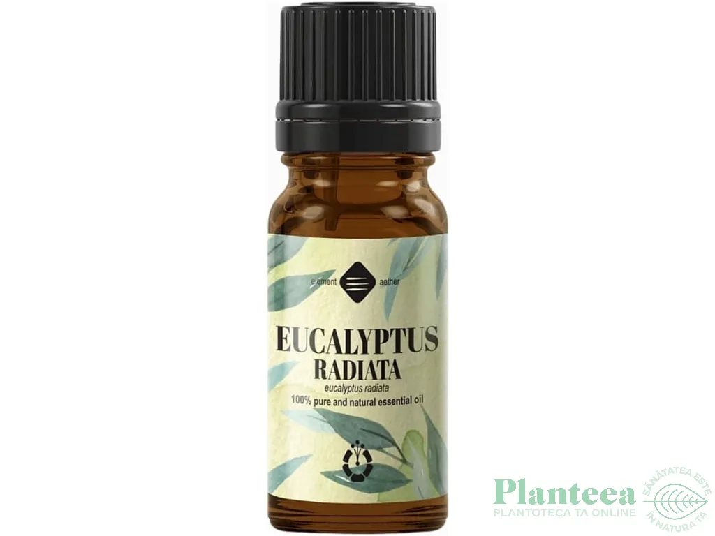 Ulei esential eucalipt radiata 10ml - ELLEMENTAL