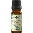 Ulei esential eucalipt radiata 10ml - ELLEMENTAL
