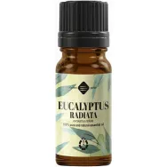 Ulei esential eucalipt radiata 10ml - ELLEMENTAL