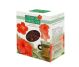 Ceai hibiscus 75g - PARAPHARM