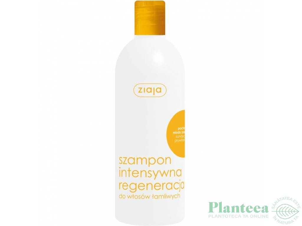 Sampon intens regenerant miere B5 400ml - ZIAJA