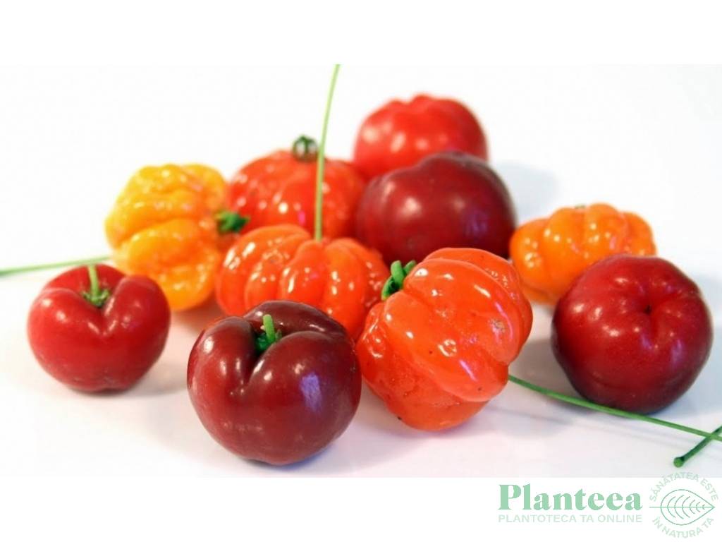 Pulbere acerola 60g - EVERTRUST