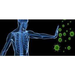 Remediu apicol ImunoForte 220g - APICOL SCIENCE