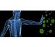 Remediu apicol ImunoForte 225g - APICOL SCIENCE