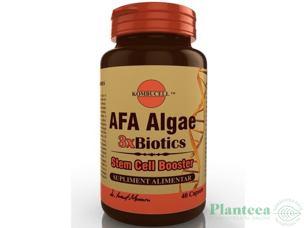 AFA algae 3xbiotics 40cps - KOMBUCELL