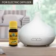 Ulei esential lemongrass 10ml - HERBAL SANA