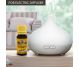 Ulei esential lemongrass 10ml - HERBAL SANA