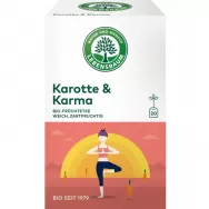 Ceai fructe morcovi & karma eco 20dz - LEBENSBAUM