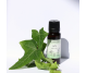 Extract iedera 100ml - ELLEMENTAL
