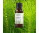 Extract coada calului 50ml - ELLEMENTAL