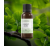 Extract ginkgo biloba 50ml - ELLEMENTAL