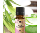 Ulei parfumant natural Aloe Bambus 9g - ELLEMENTAL