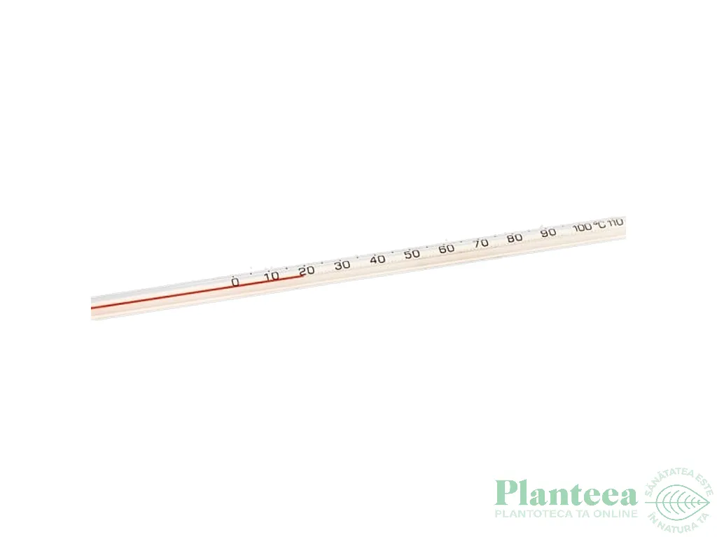 Termometru laborator 0°C~100°C 1b - ELLEMENTAL