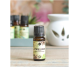 Ulei esential anason stelat 10ml - ELLEMENTAL