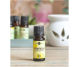 Ulei esential citronella 10ml - ELLEMENTAL