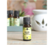Ulei esential busuioc dulce 10ml - ELLEMENTAL