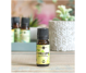 Ulei esential coriandru 10ml - ELLEMENTAL