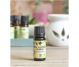 Ulei esential eucalipt globulus 90g - ELLEMENTAL