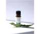 Ulei esential ienupar 10ml - ELLEMENTAL