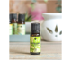 Ulei esential menta piperata 90g - ELLEMENTAL