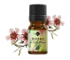 Ulei esential manuka 5ml - ELLEMENTAL