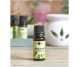 Ulei esential oregano 90g - ELLEMENTAL
