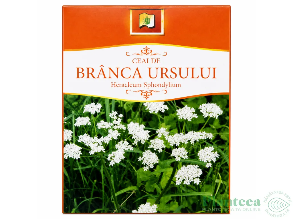 Ceai branca ursului 50g - STEFMAR