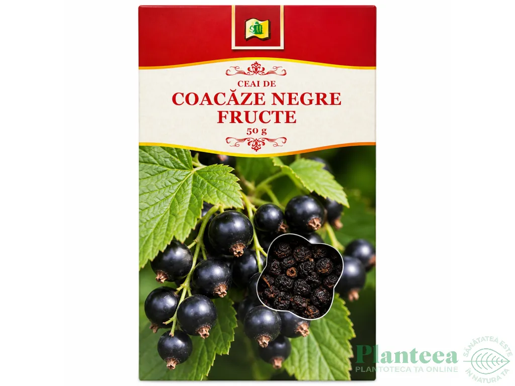 Ceai coacaze negre fructe 50g - STEFMAR