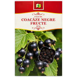 Ceai coacaze negre fructe 50g - STEFMAR