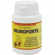 Neuroforte 40cp - ELIDOR