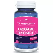 Cicoare extract 30cps - HERBAGETICA
