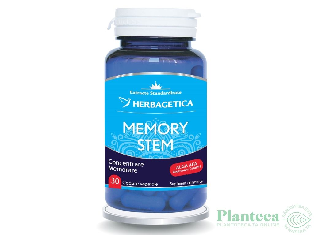 Memory stem 30cps - HERBAGETICA