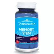 Memory stem 30cps - HERBAGETICA