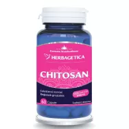 Chitosan 60cps - HERBAGETICA